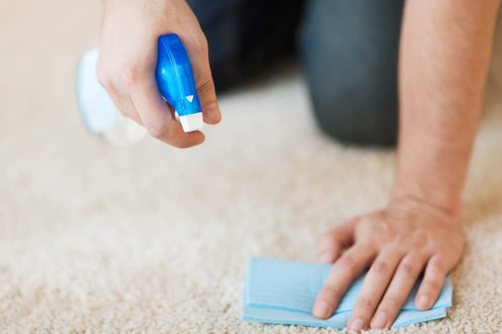 Sanitizing and disinfecting your carpet