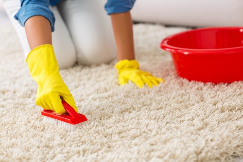 Cleaning Your Carpet Like A Pro